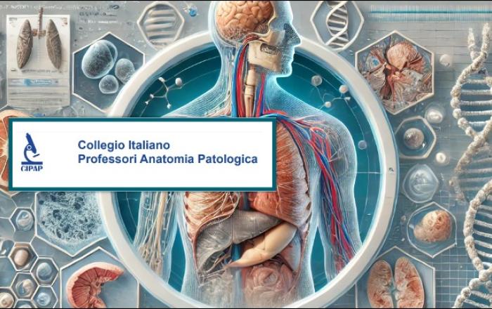 Seminari della Scuola Nazionale di Anatomia Patologica