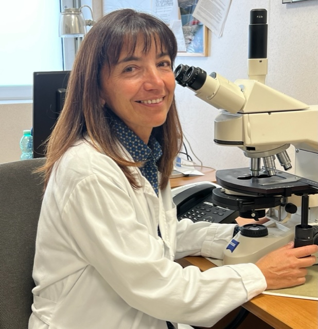 Vice Direttore: Prof.ssa Emanuela Pilozzi